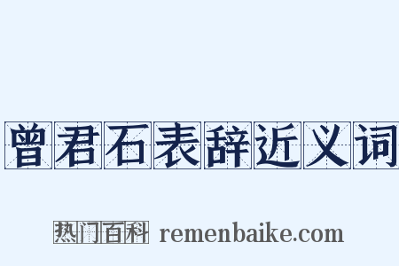 曾君石表辞近义词是什么意思的图片